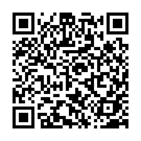 QR code for P5530H