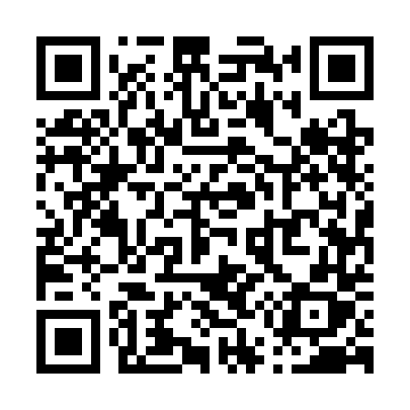 QR code for P553DX
