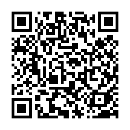 QR code for P5541I