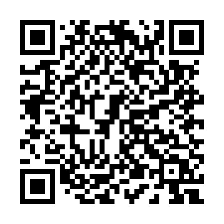 QR code for P55MUT