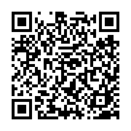 QR code for P566QC