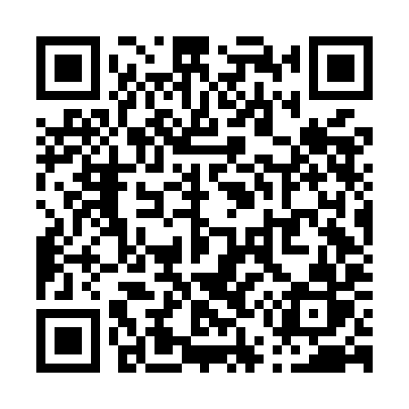 QR code for P56MIR