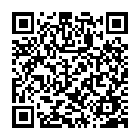 QR code for P571CD