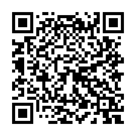 QR code for P595ZR