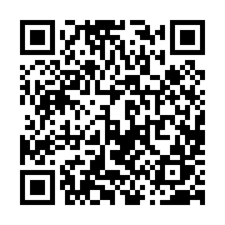 QR code for P6009R