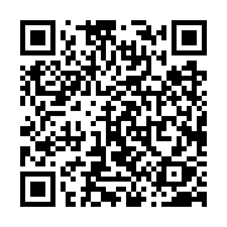 QR code for P607SX