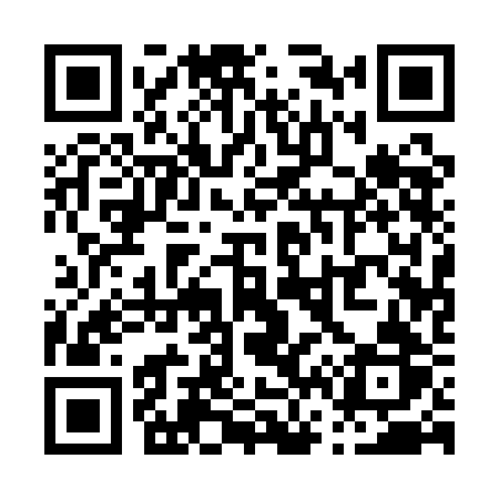 QR code for P611BR