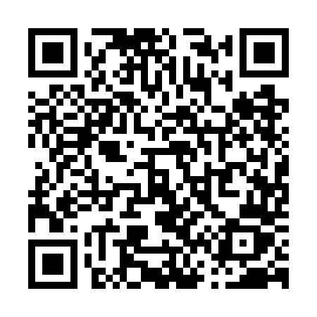 QR code for P617DZ