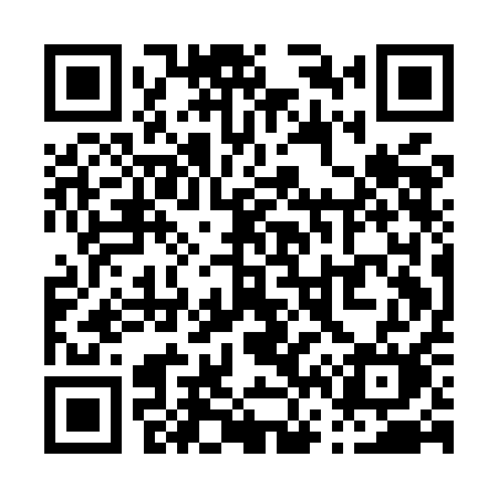 QR code for P61MAM