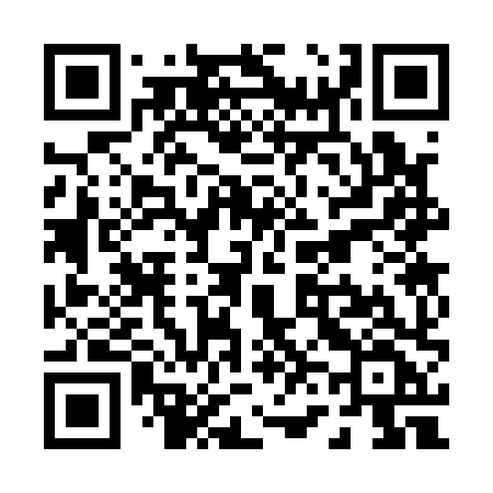 QR code for P6318F