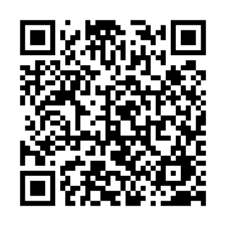 QR code for P6353G