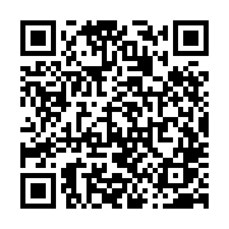 QR code for P63XLS