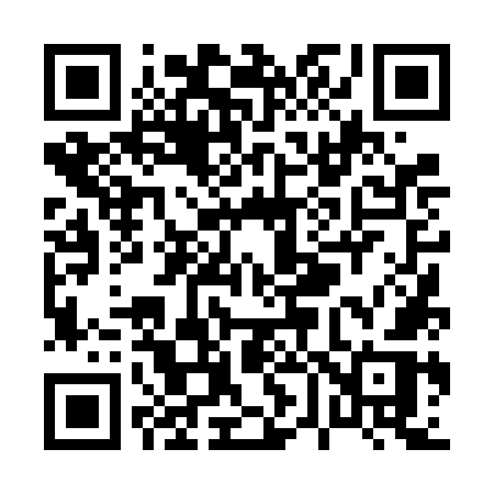 QR code for P646OR