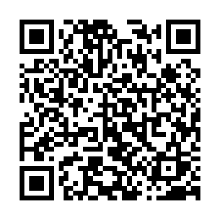 QR code for P6513S