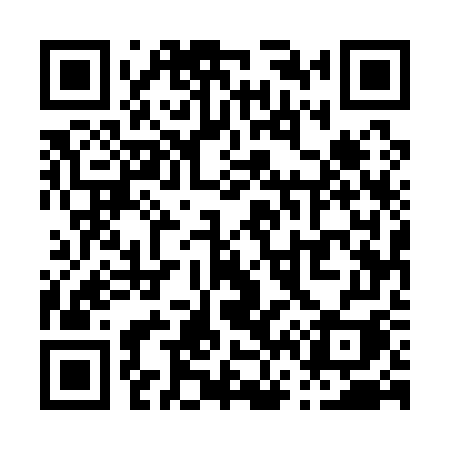 QR code for P6517I