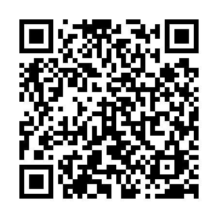 QR code for P6573C