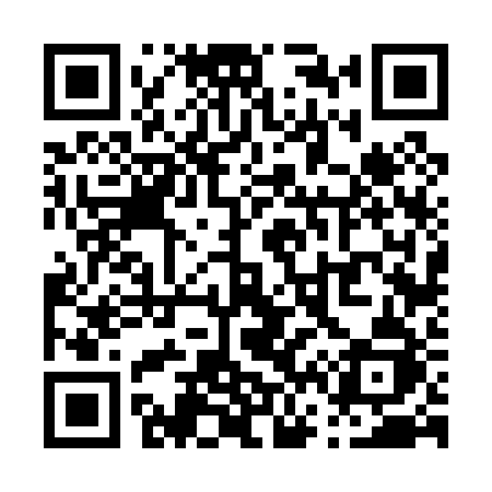 QR code for P6602J