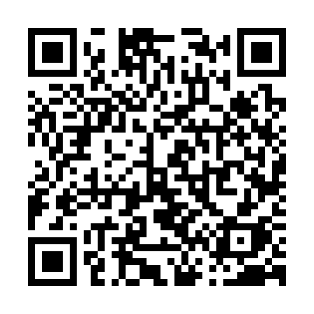 QR code for P6633H