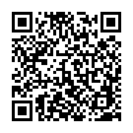 QR code for P6656B