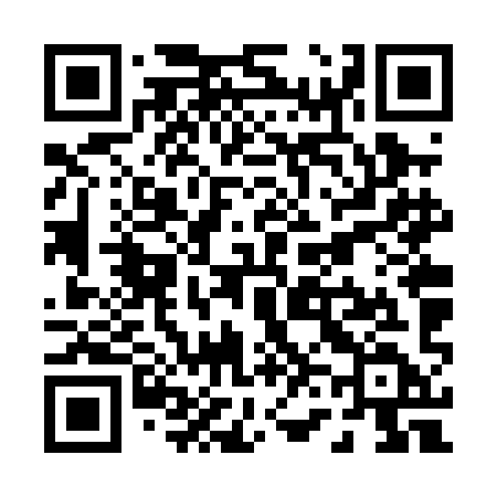 QR code for P66PID