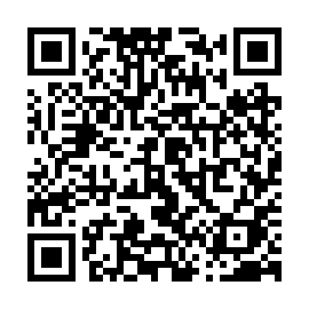 QR code for P672PI