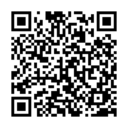 QR code for P691GL