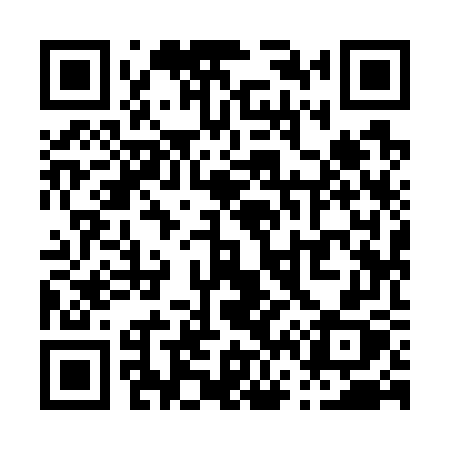 QR code for P6977X