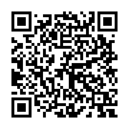 QR code for P7313Q
