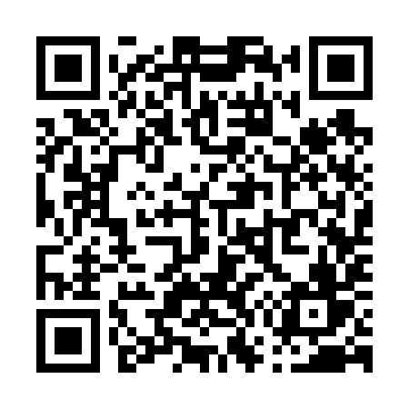 QR code for P7369V