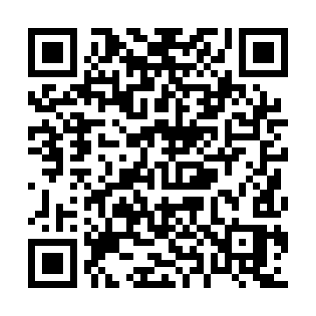 QR code for P801IS