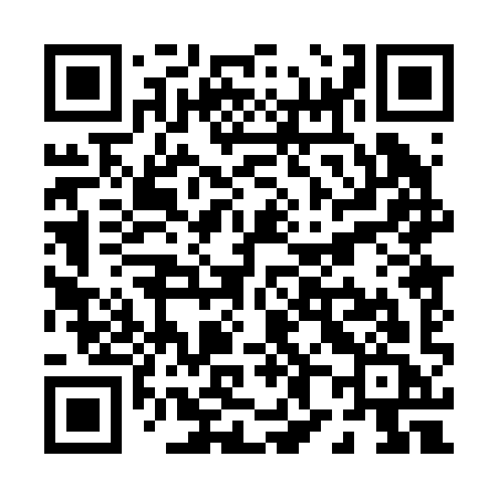 QR code for P8029C
