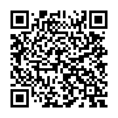 QR code for P804PI