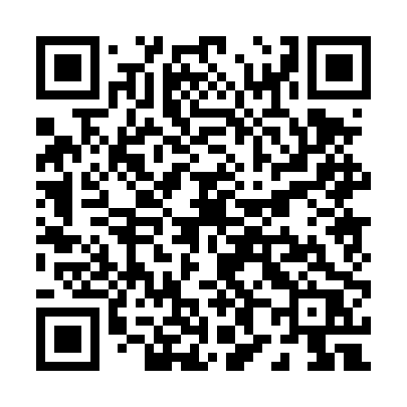 QR code for P804PR