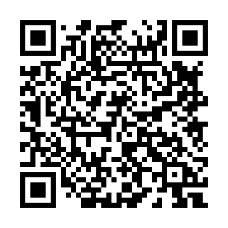 QR code for P8082A