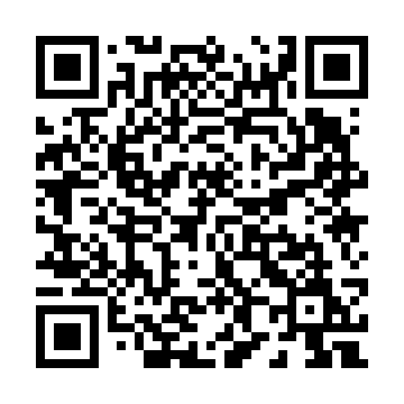 QR code for P8163M