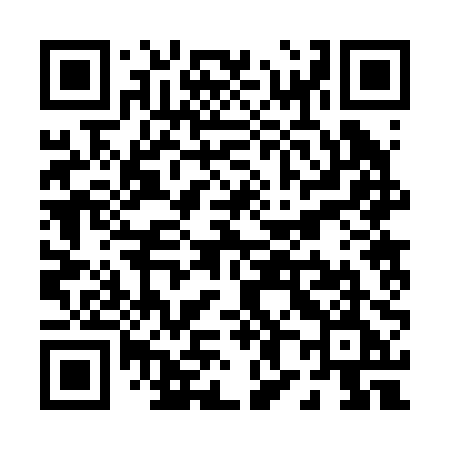 QR code for P8220E