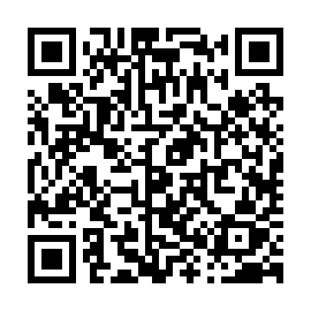 QR code for P8221Z