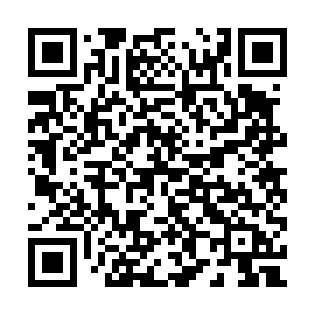 QR code for P8245B