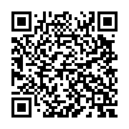 QR code for P8308V