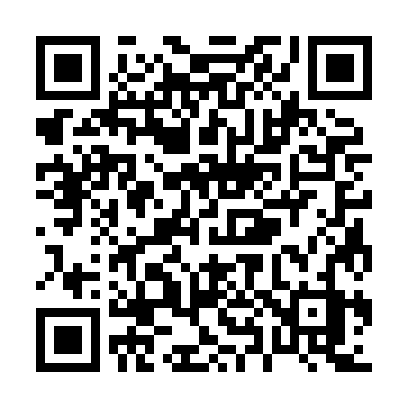 QR code for P838JZ
