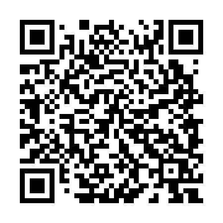 QR code for P8438S