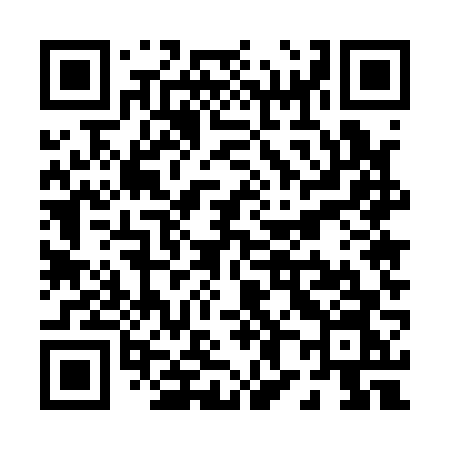QR code for P8516N