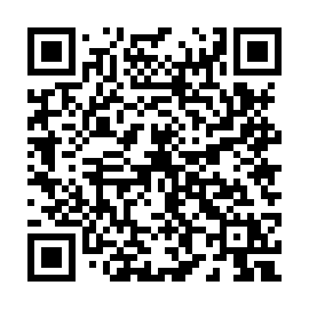 QR code for P858SX