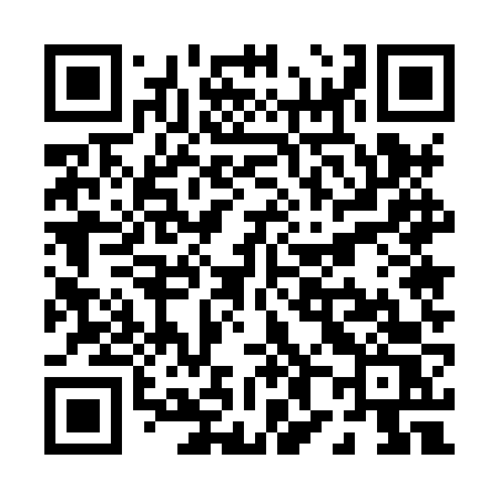 QR code for P858VS