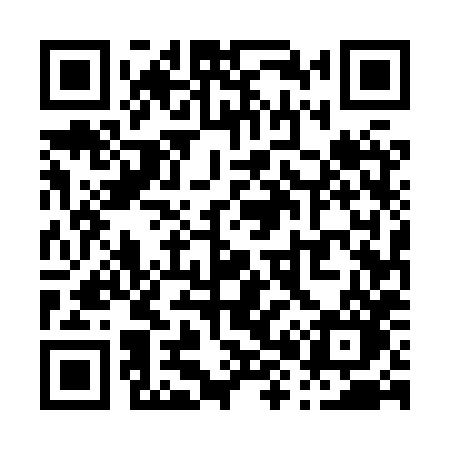 QR code for P858XO