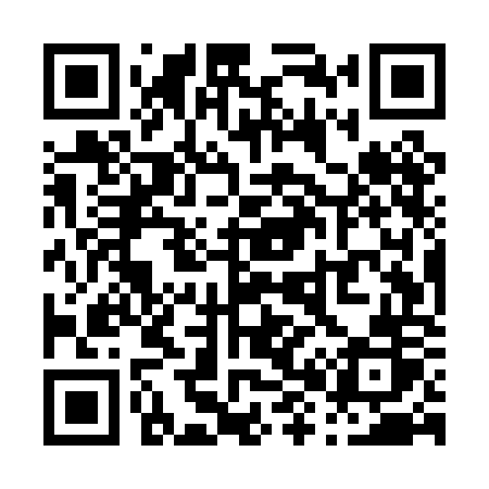 QR code for P85POR