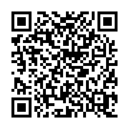 QR code for P8613G