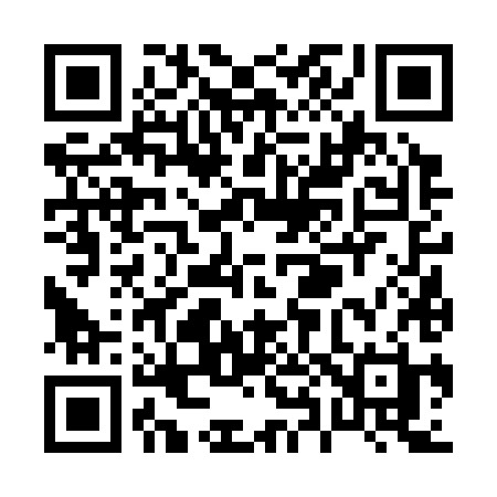 QR code for P8638H