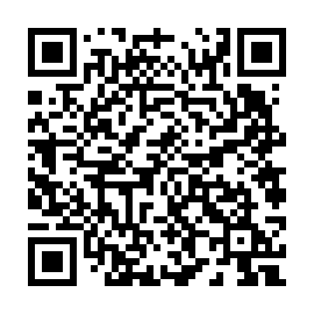QR code for P8663E