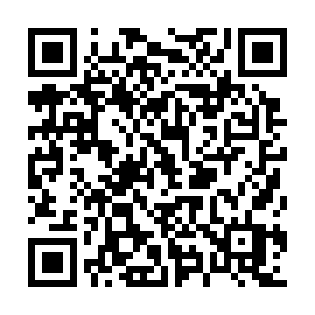 QR code for P9036T